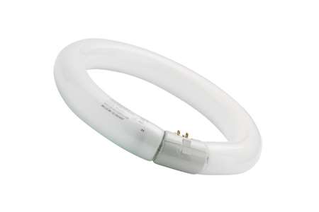 Image de Fluo Circulaire T9 HR Diam 407mm 40w/840 G10q