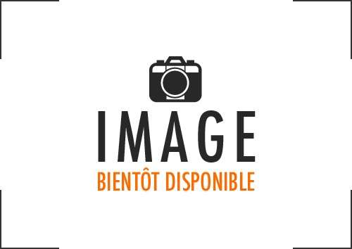 Image de Balayette 28cm Polyes. Souple Alim. Vert