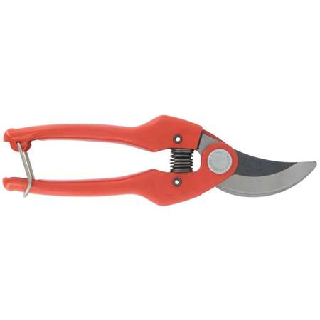 Image de Sécateur Professionnel Forgé 19cm